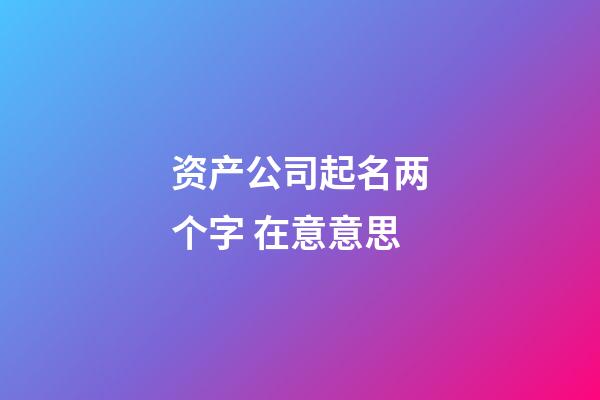 资产公司起名两个字 在意意思-第1张-公司起名-玄机派